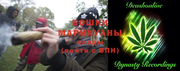 мдпв Кинешма