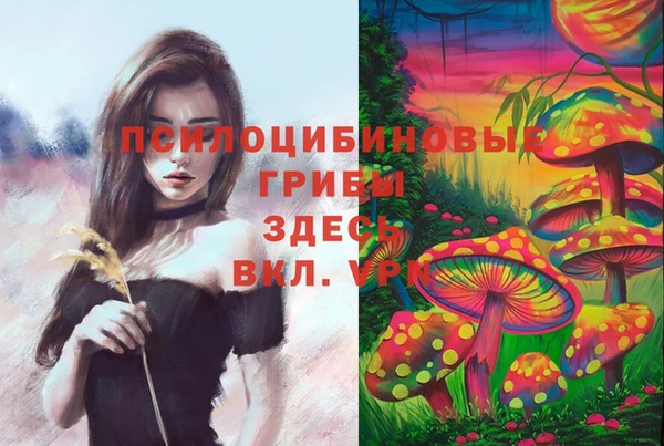 таблы Карпинск